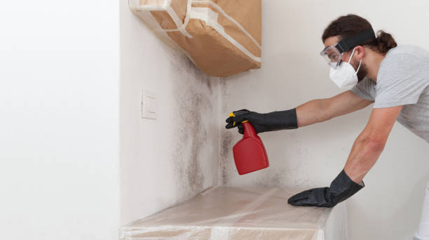 Professional Bathroom Mold Removal technician working in Saint Leonard, MD