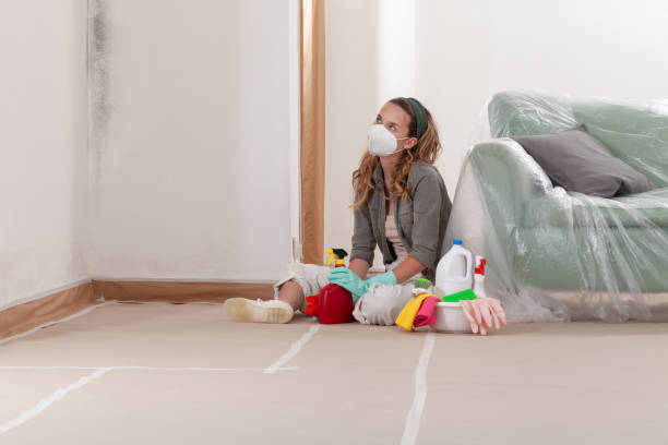 Reliable Bathroom Mold Removal contractor in Saint Leonard, MD by 24 Hour Mold Removal